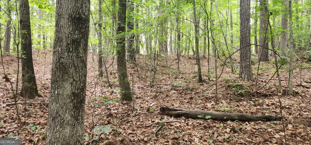 0 Rabbit Farm RD Loganville, GA 30052