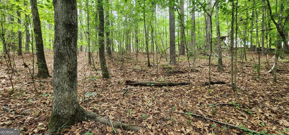0 Rabbit Farm RD Loganville, GA 30052