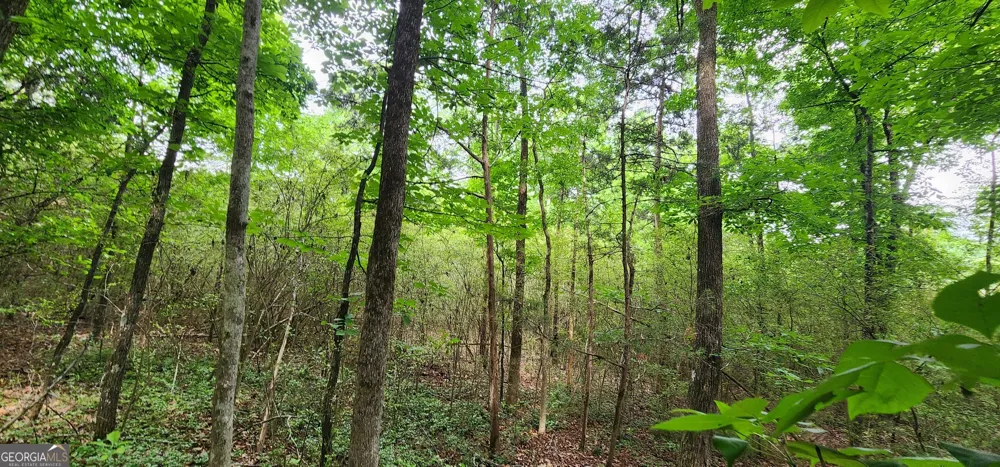 0 Rabbit Farm RD Loganville, GA 30052
