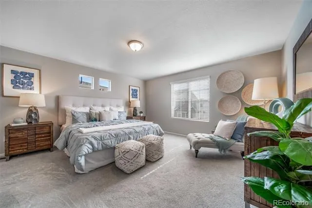 10122 Salem Court Commerce City, CO 80022