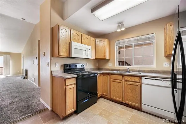 776 Bosque Vista Point Colorado Springs, CO 80916