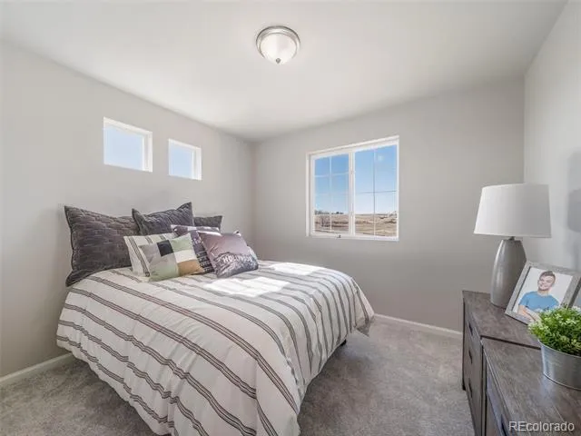 3387 Pearwood Drive Johnstown, CO 80534