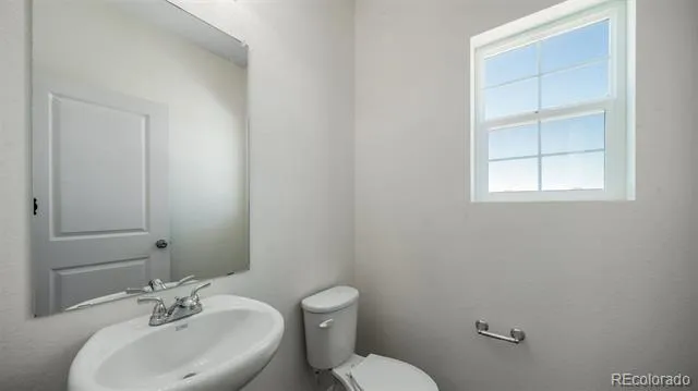 3387 Pearwood Drive Johnstown, CO 80534