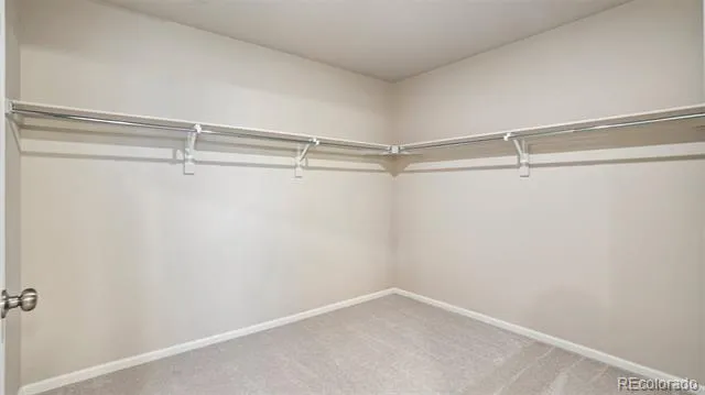 4142 Graywood Drive Johnstown, CO 80534