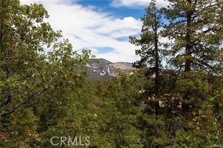 1186 Alameda Ct Big Bear, CA 92314