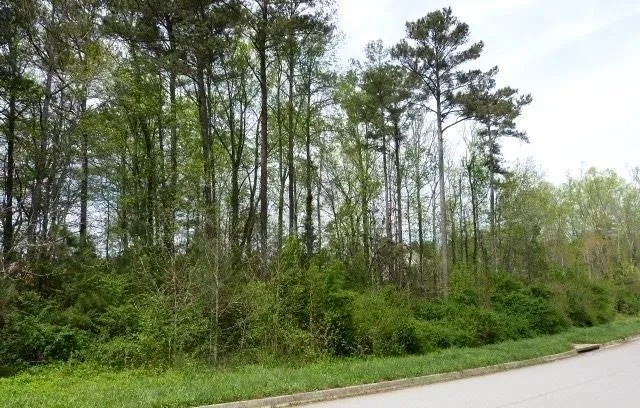 204 Benefield Court Stockbridge, GA 30281