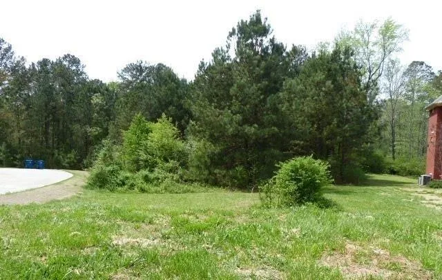 204 Benefield Court Stockbridge, GA 30281
