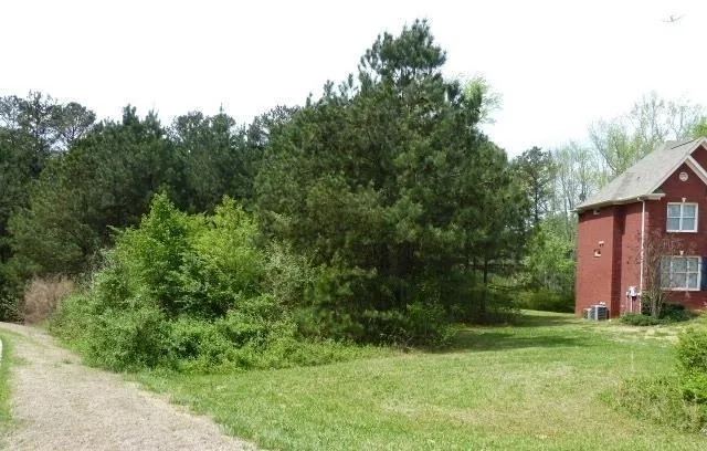 204 Benefield Court Stockbridge, GA 30281