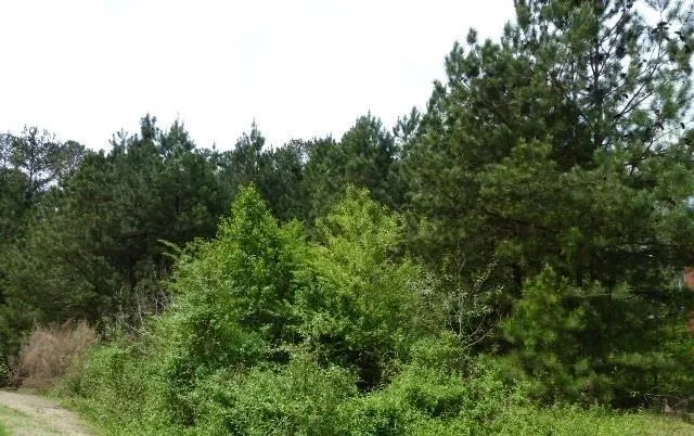 204 Benefield Court Stockbridge, GA 30281