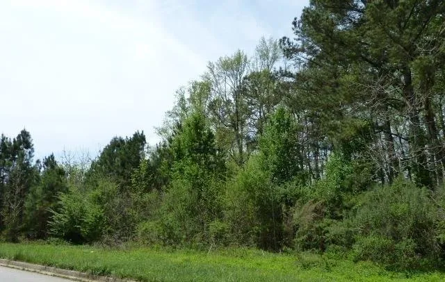 204 Benefield Court Stockbridge, GA 30281