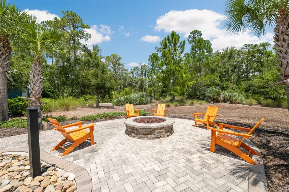 4070 EPIC COVE Land O Lakes, FL 34638