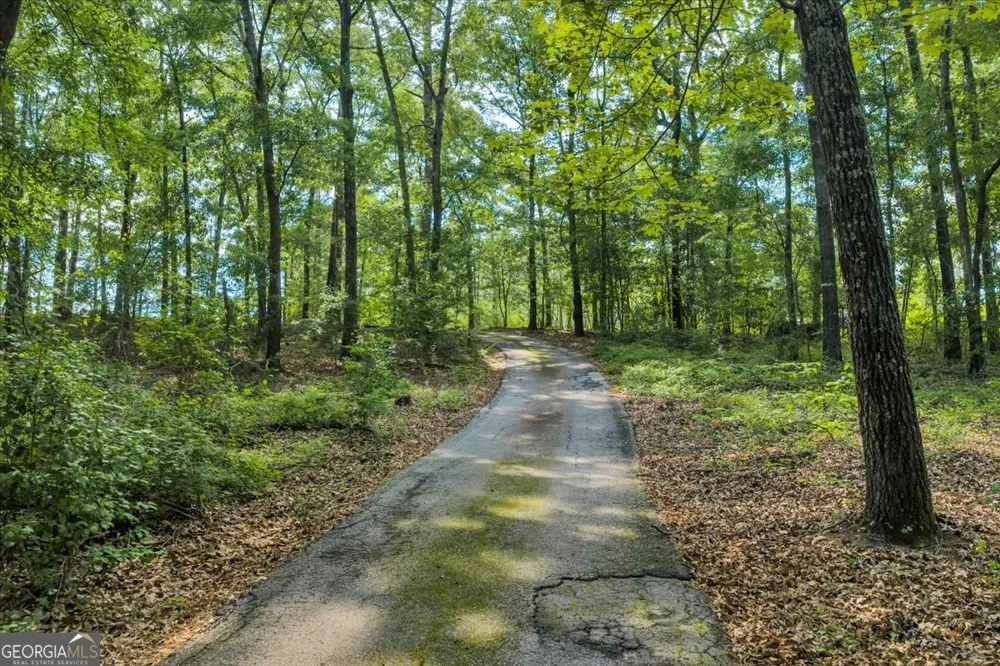 3826 Boy Scout RD Byron, GA 31008