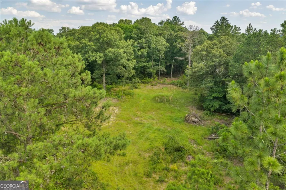 3826 Boy Scout RD Byron, GA 31008
