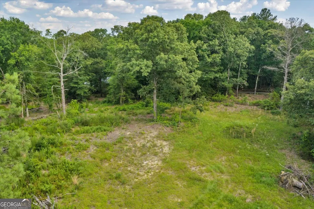 3826 Boy Scout RD Byron, GA 31008