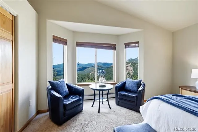 11756 Leavenworth Drive Conifer, CO 80433