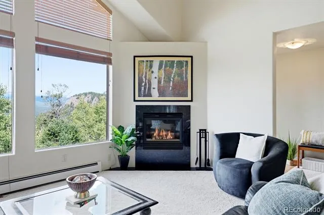11756 Leavenworth Drive Conifer, CO 80433