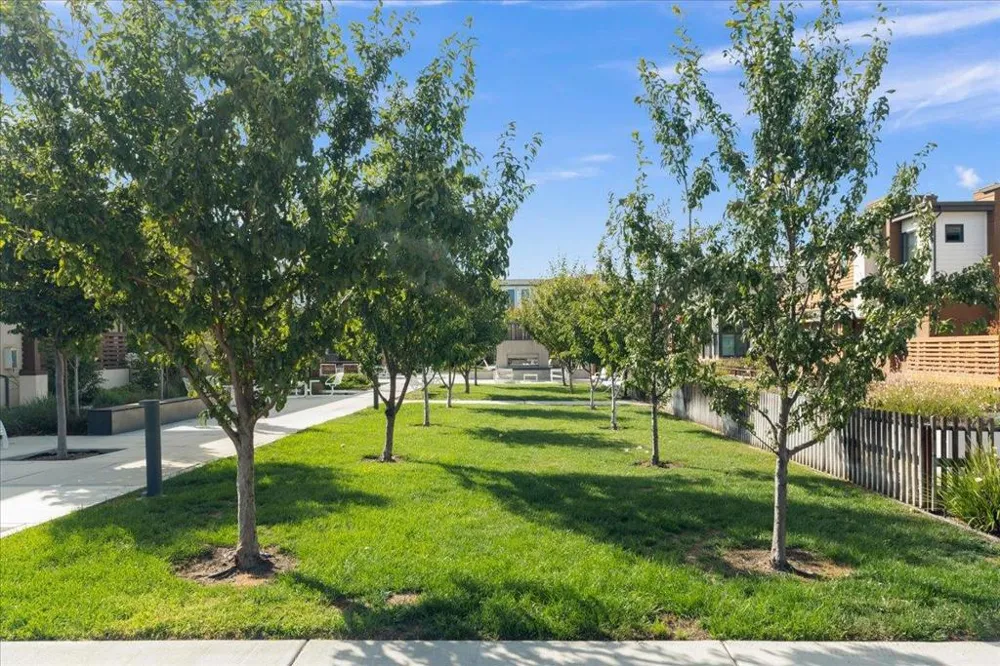 13186 Sepulveda Circle Los Gatos, CA 95032