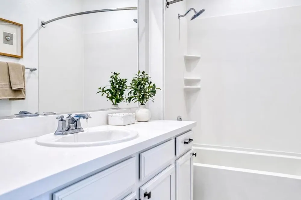 47503 Wolfskill Falls Terrace Fremont, CA 94539