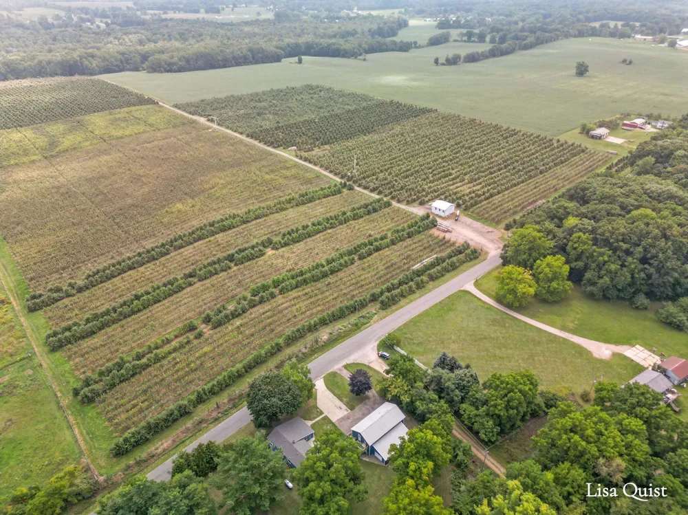 16271 Albrecht Avenue NE Cedar Springs, MI 49319