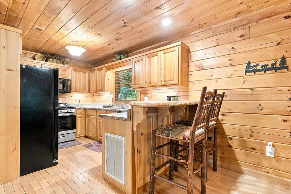156 Cedar Ridge Road Blue Ridge, GA 30513