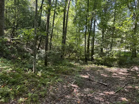 0 Laurel Ridge Drive