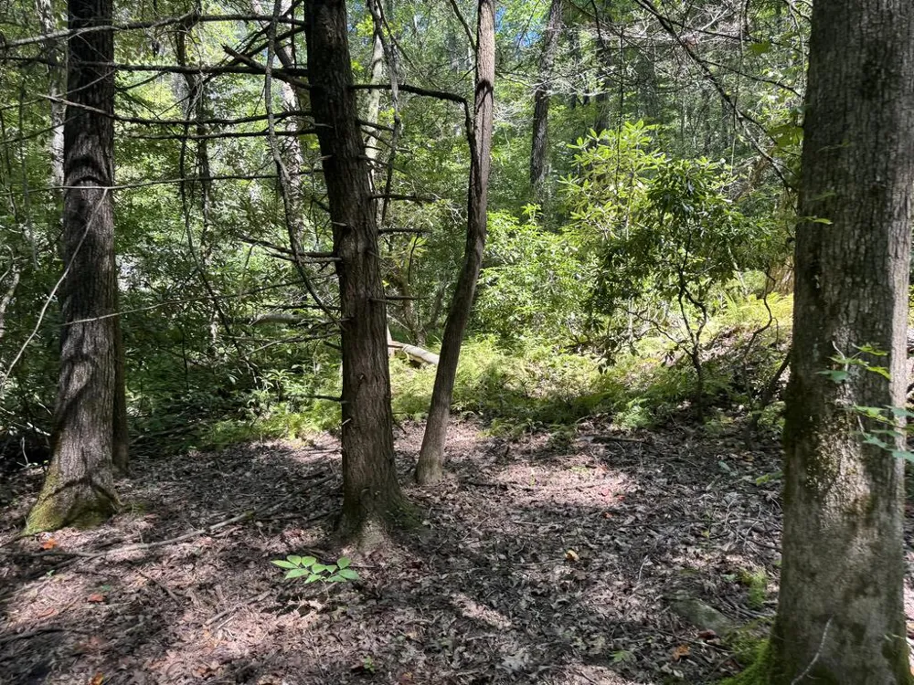 0 Laurel Ridge Drive Cherry Log, GA 30522