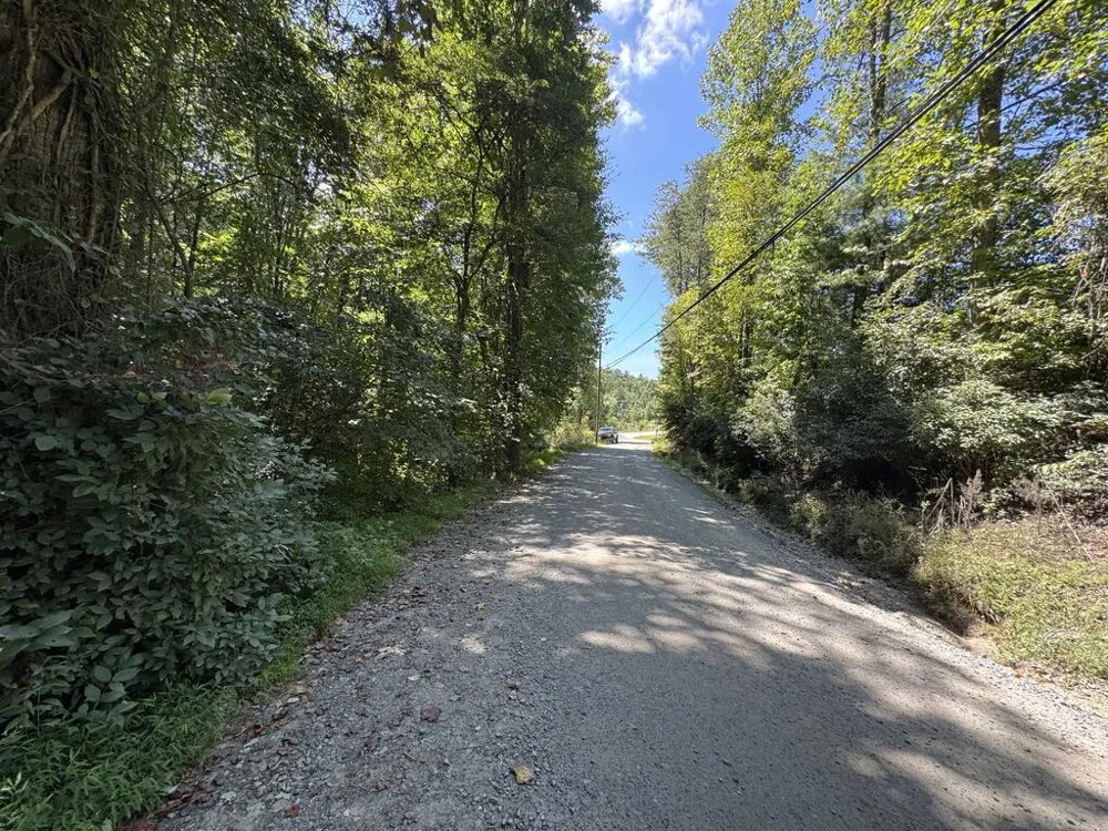 0 Laurel Ridge Drive Cherry Log, GA 30522