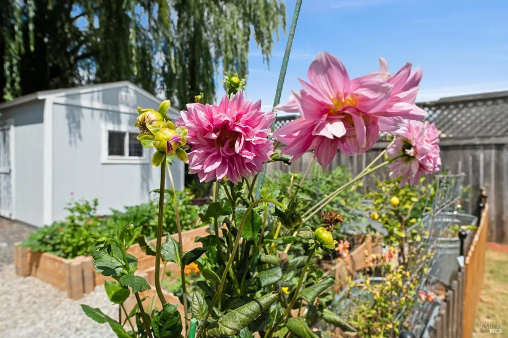 7187 Circle Drive Rohnert Park, CA 94928