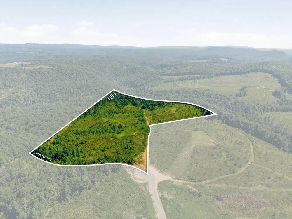 Triple Ridge, Lot #1 Trail Grandview, TN 37337