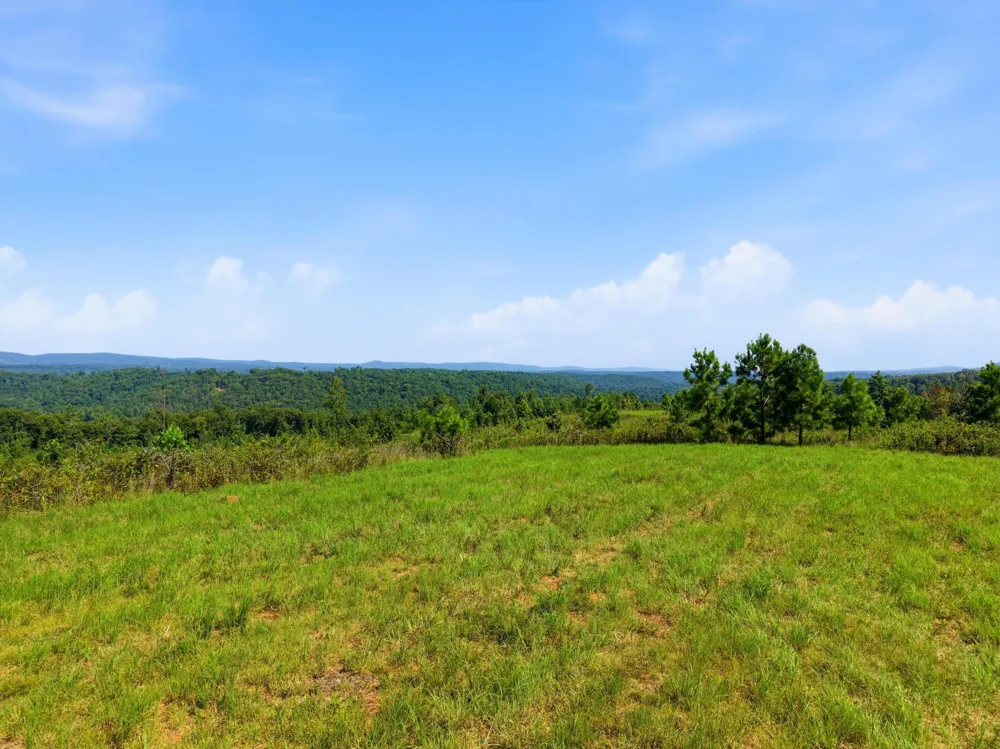 Triple Ridge, Lot #2 Trail Grandview, TN 37337