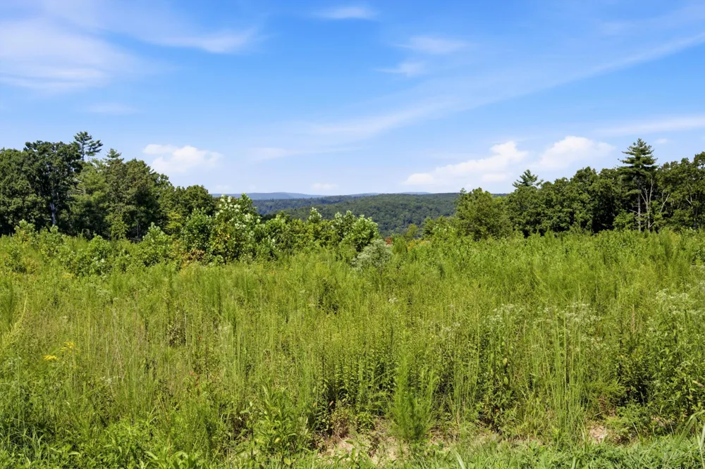 Triple Ridge, Lot #2 Trail Grandview, TN 37337