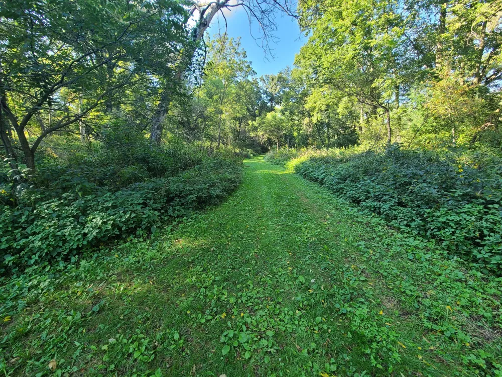 60742 226th Avenue Mantorville, MN 55955