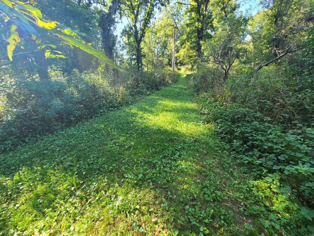 60742 226th Avenue Mantorville, MN 55955