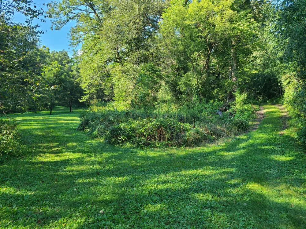60742 226th Avenue Mantorville, MN 55955