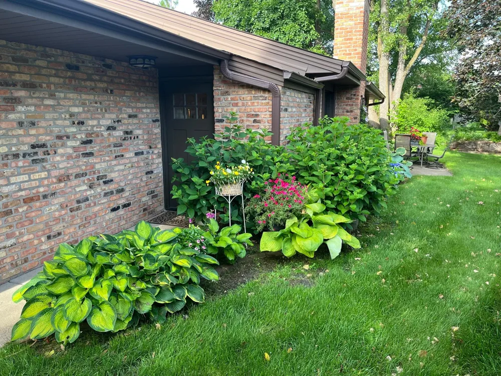 1185 weston Plymouth, MN 55447