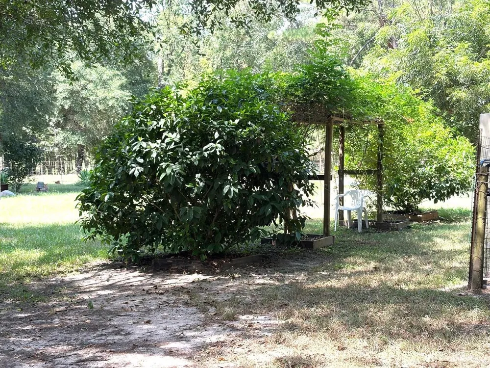 3080 Lee Turner Road Cleveland, TX 77328