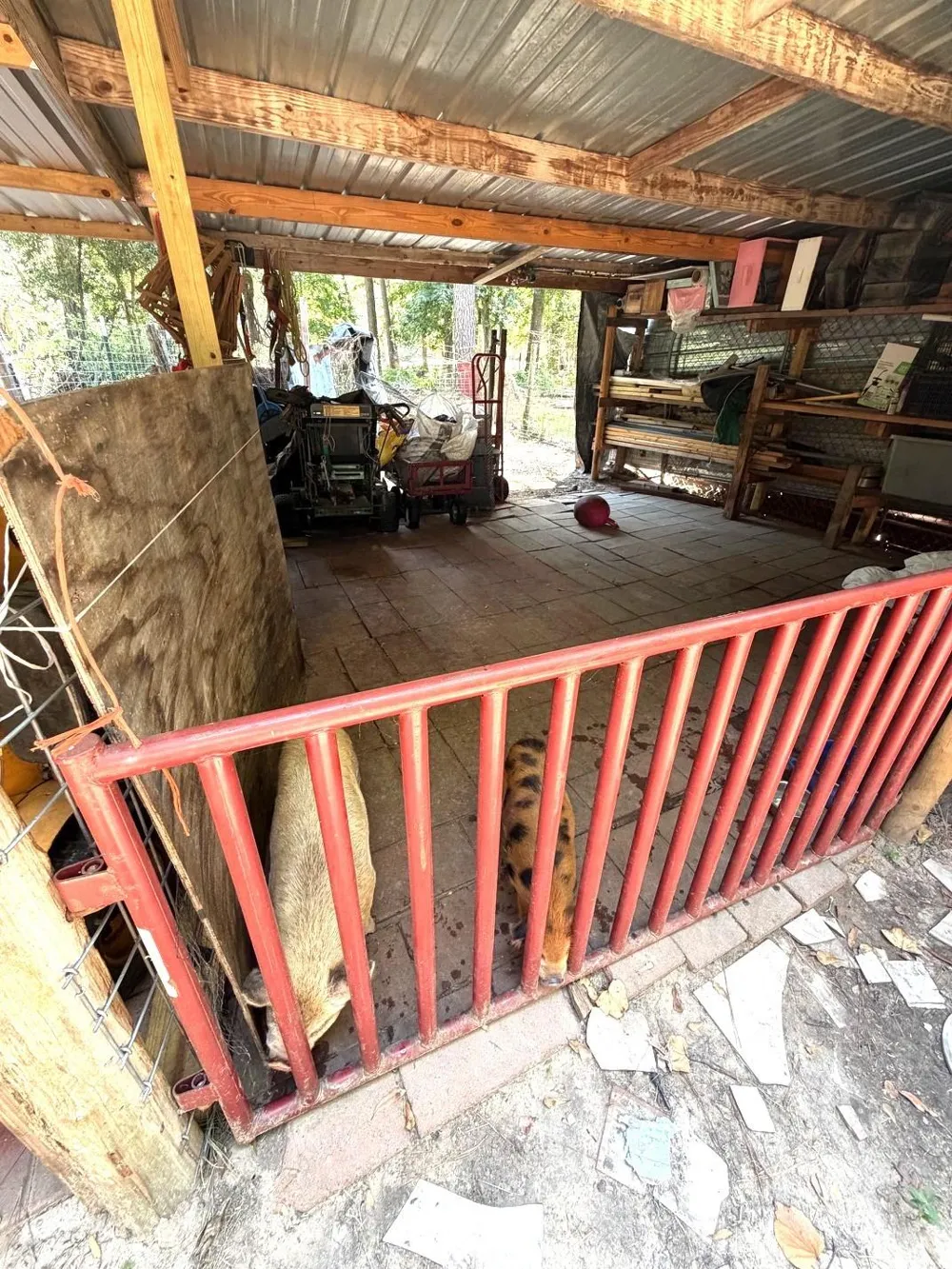 3080 Lee Turner Road Cleveland, TX 77328