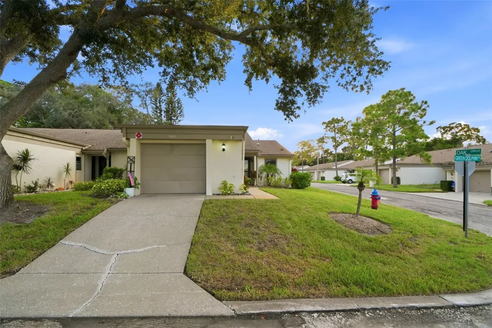 3207 GREEN DOLPHIN STREET Tarpon Springs, FL 34689
