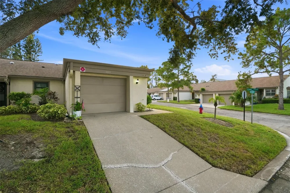 3207 GREEN DOLPHIN STREET Tarpon Springs, FL 34689