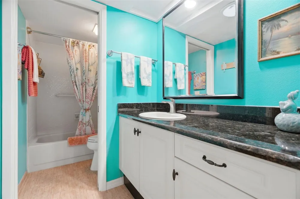 3207 GREEN DOLPHIN STREET Tarpon Springs, FL 34689