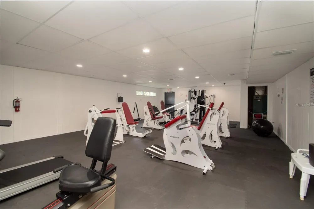 3207 GREEN DOLPHIN STREET Tarpon Springs, FL 34689