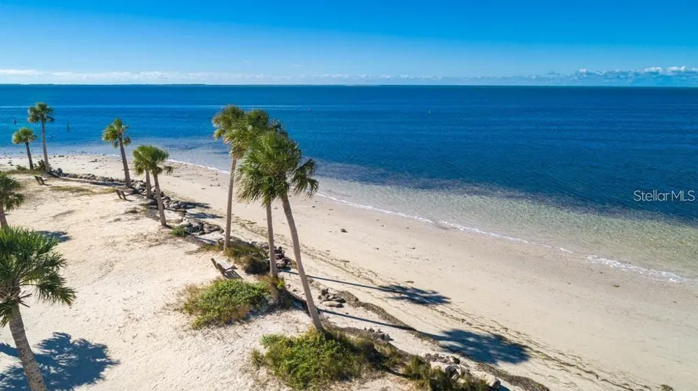 3207 GREEN DOLPHIN STREET Tarpon Springs, FL 34689