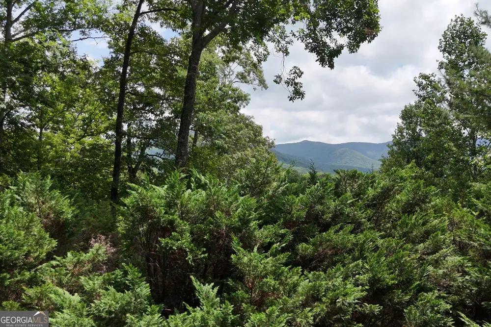 93 Jamie LN Blairsville, GA 30512