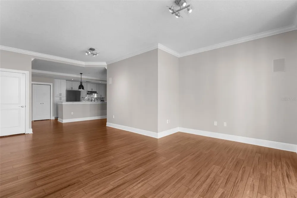 1238 E KENNEDY BOULEVARD #501 Tampa, FL 33602
