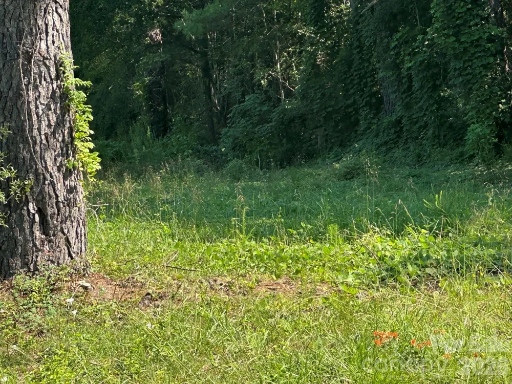 162 Lancaster Road Forest City, NC 28043