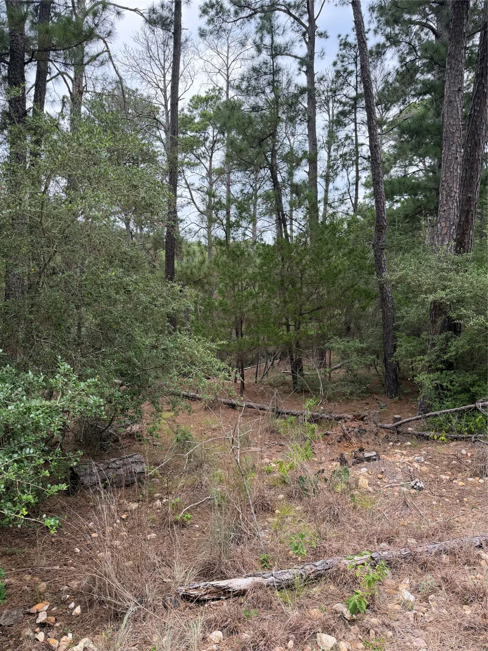 217 Hekili Drive Bastrop, TX 78602