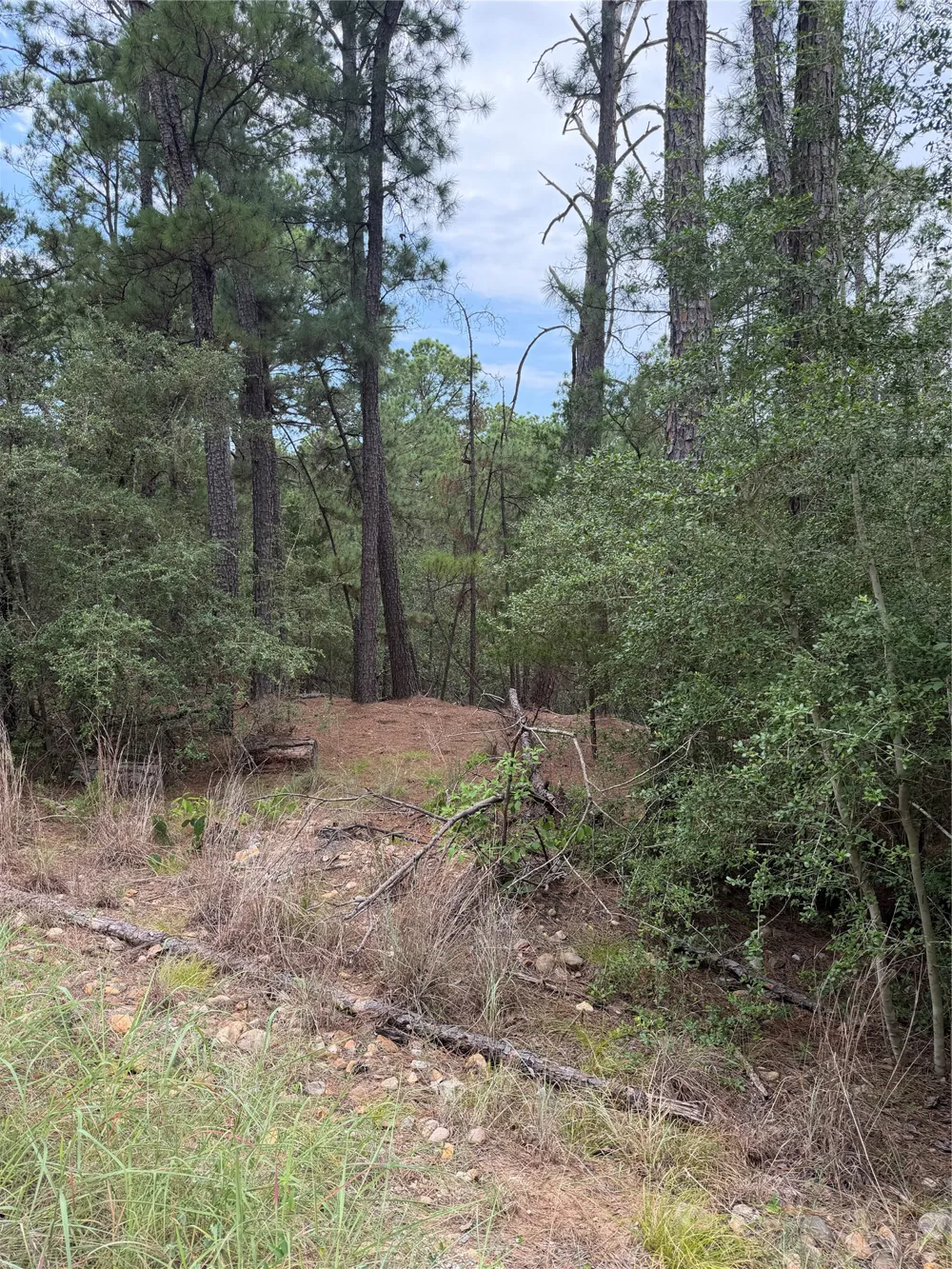 217 Hekili Drive Bastrop, TX 78602