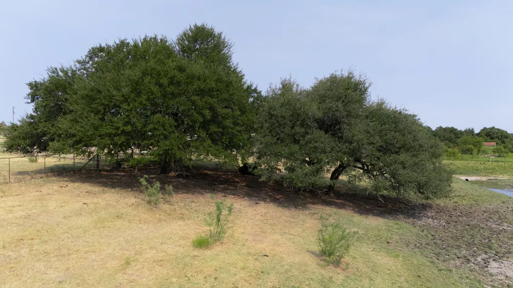 8750 RM 2243 C2 Leander, TX 78641