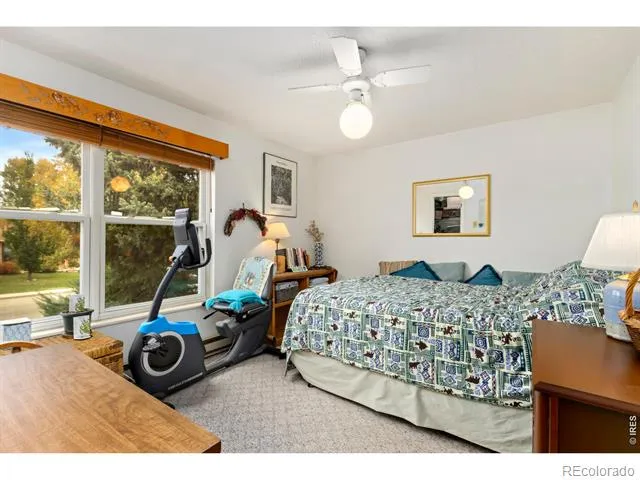 204 E 50th Street Loveland, CO 80538