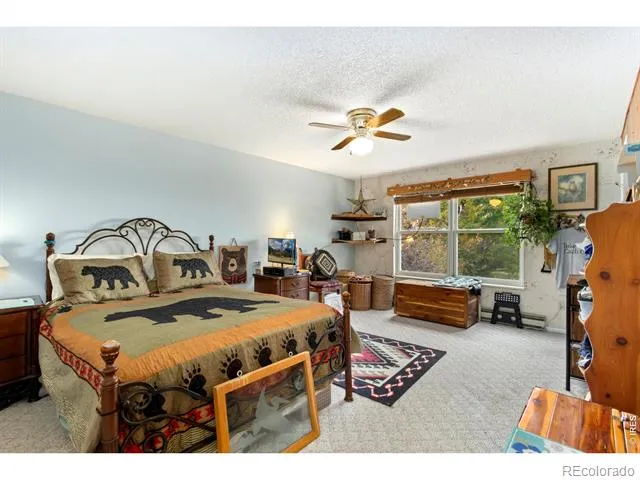 204 E 50th Street Loveland, CO 80538